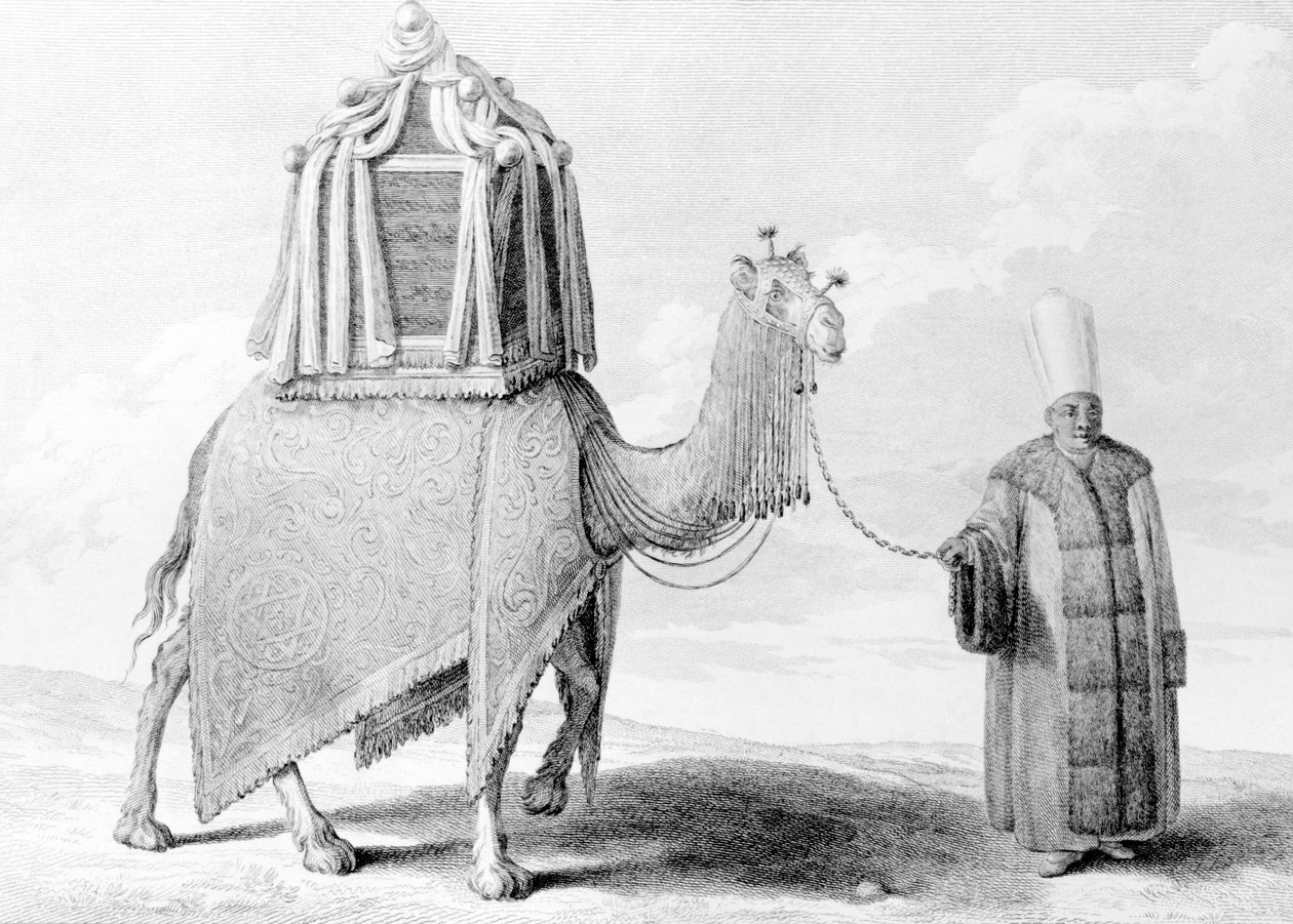 الجمل المقدس بواسطة الكسيس الكسندر بيرينيون