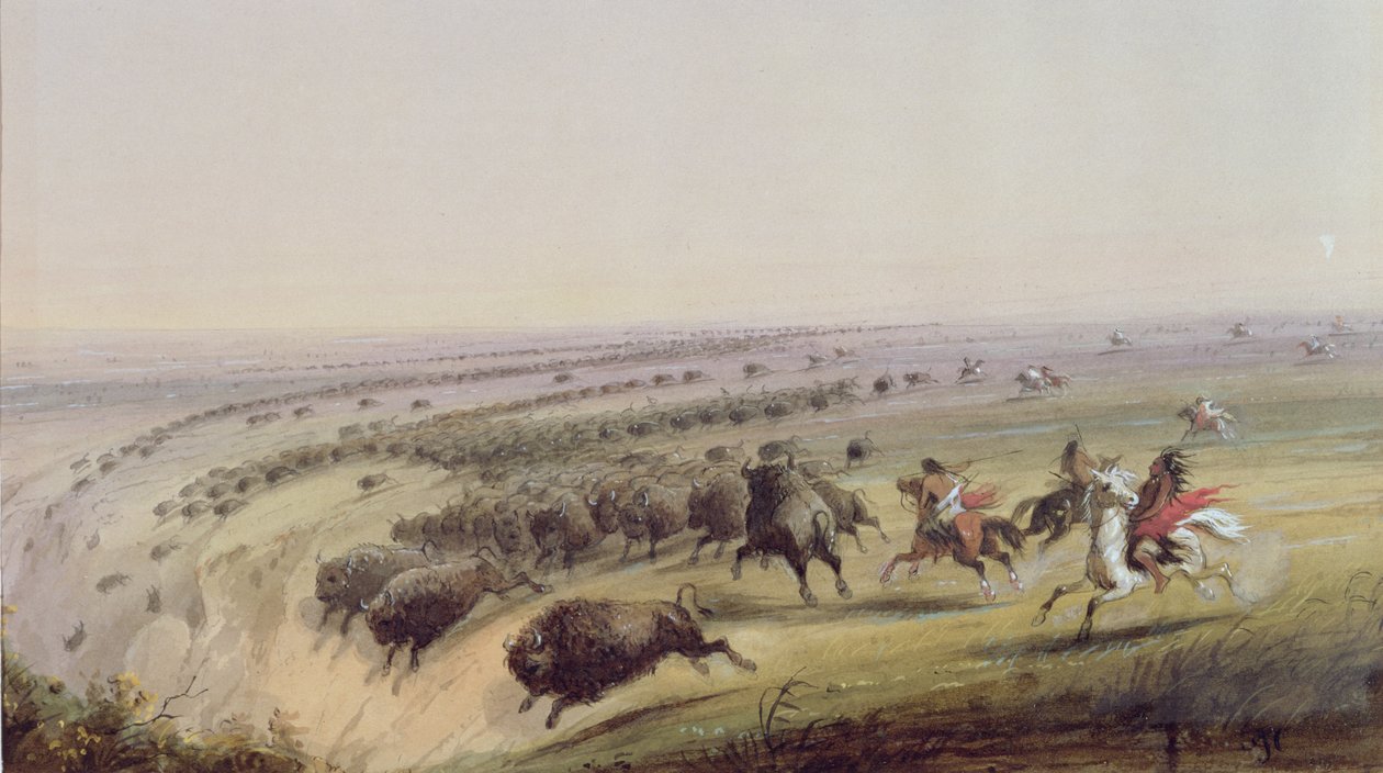 جاموس الصيد ، 1837 بواسطة ألفريد جاكوب ميلر