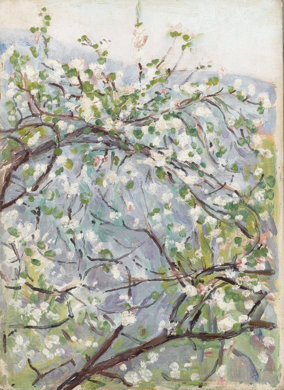زهرة ، ج .1900 بواسطة آرثر هايثورن ستود