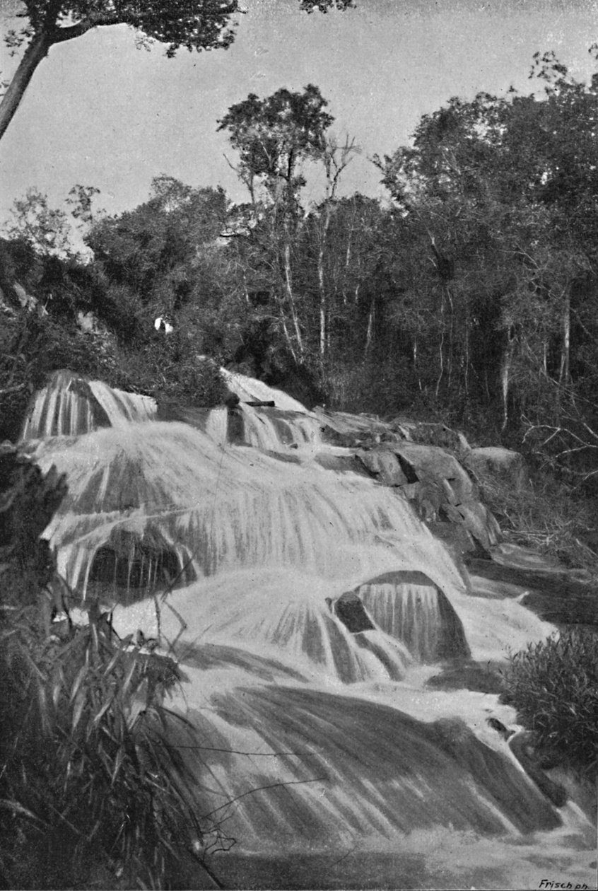 شلال على نهر جولدن لينكو ، 1895 بواسطة أكسل فريك