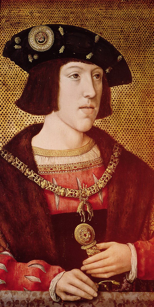 صورة تشارلز الخامس (1500-1558) بواسطة برنارد فان أورلي