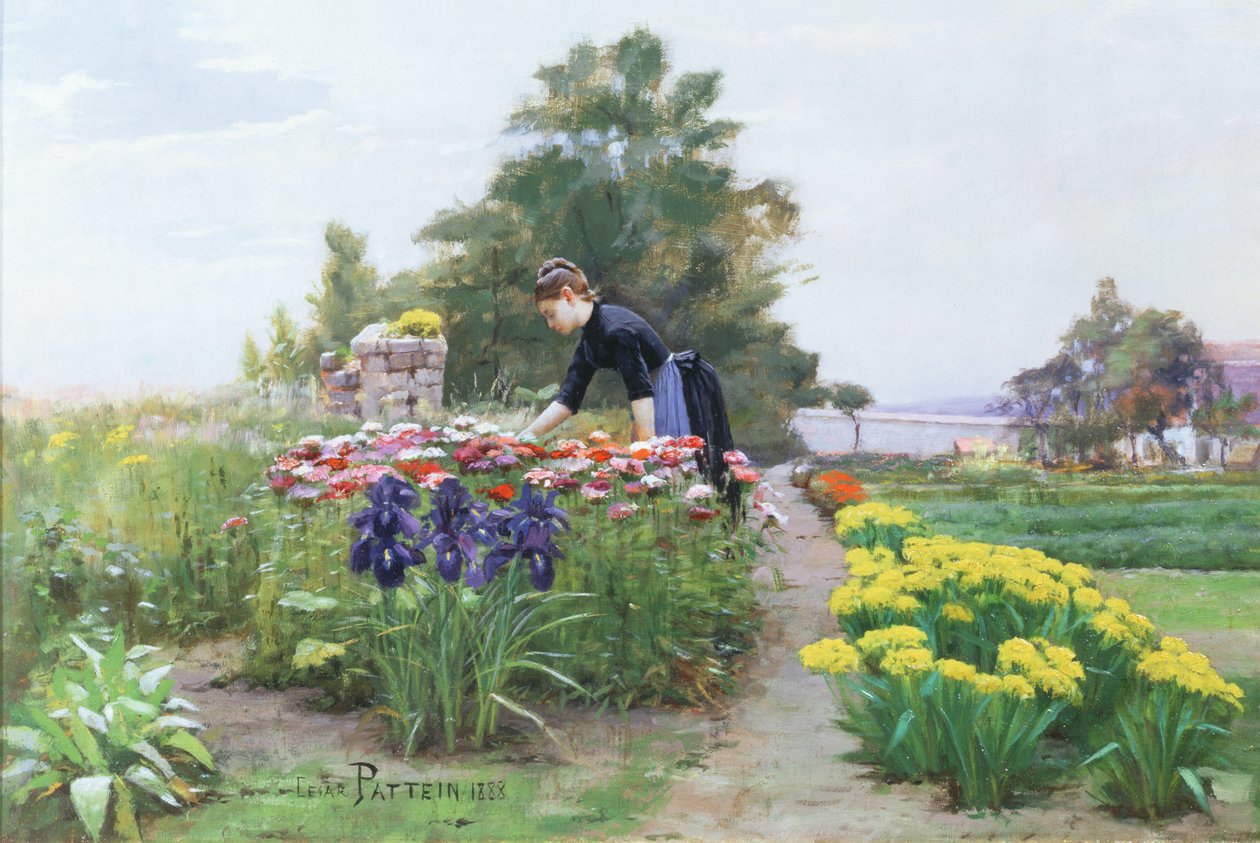 حديقة الزهور ، 1888 بواسطة سيزار باتين
