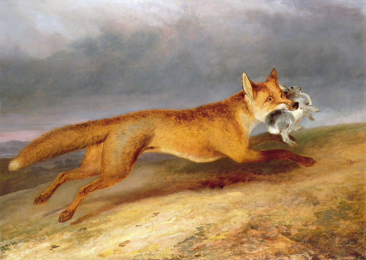 Fox making off with a Rabbit بواسطة تشارلز هانكوك