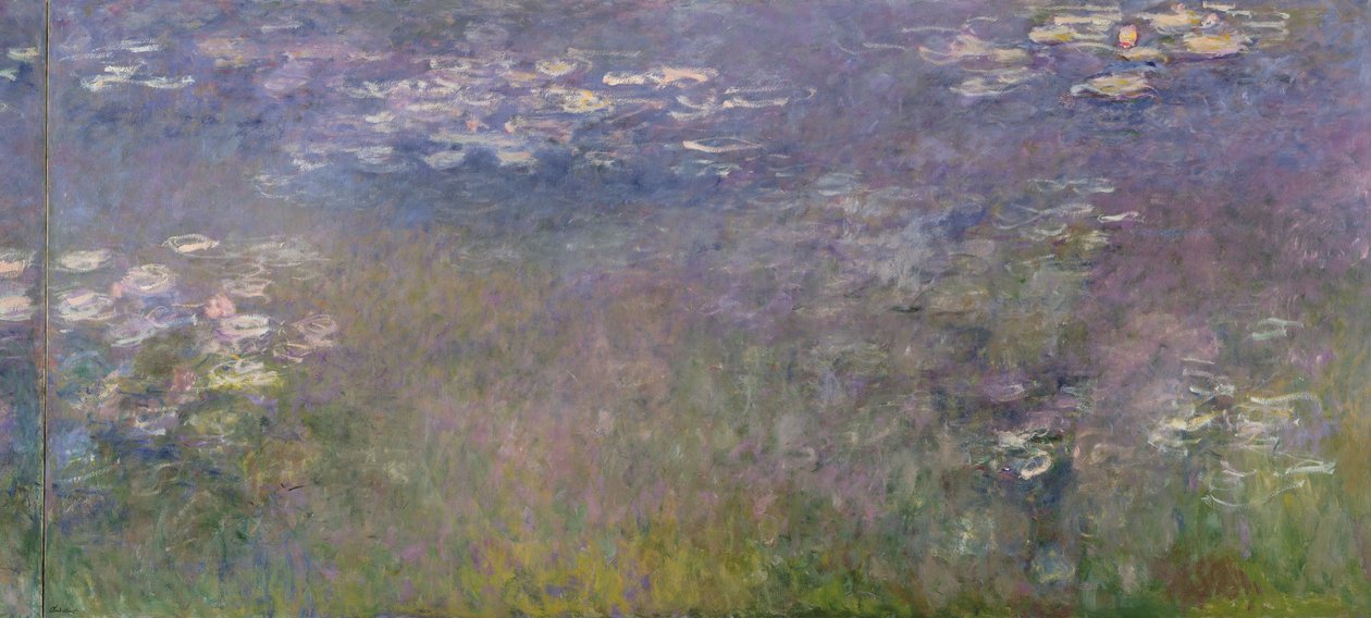 زنابق الماء (Agapanthus) c.1915-26 بواسطة كلود مونيه