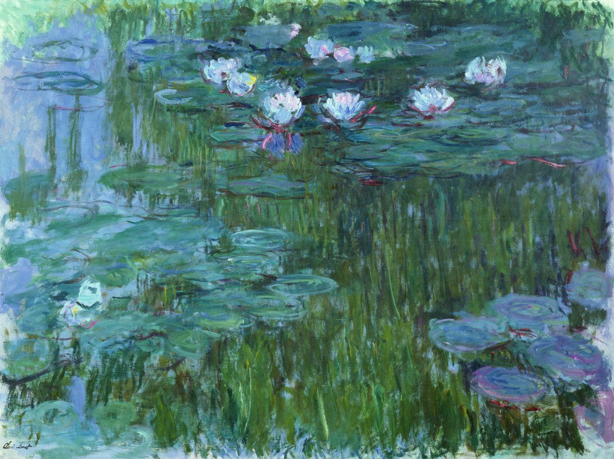 Waterlilies ، 1914-17 (انظر التفاصيل 158601) بواسطة كلود مونيه