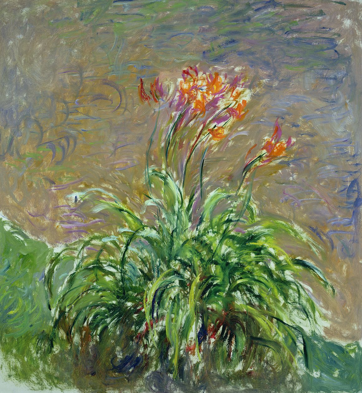 Hemerocallis ، 1914-17 بواسطة كلود مونيه
