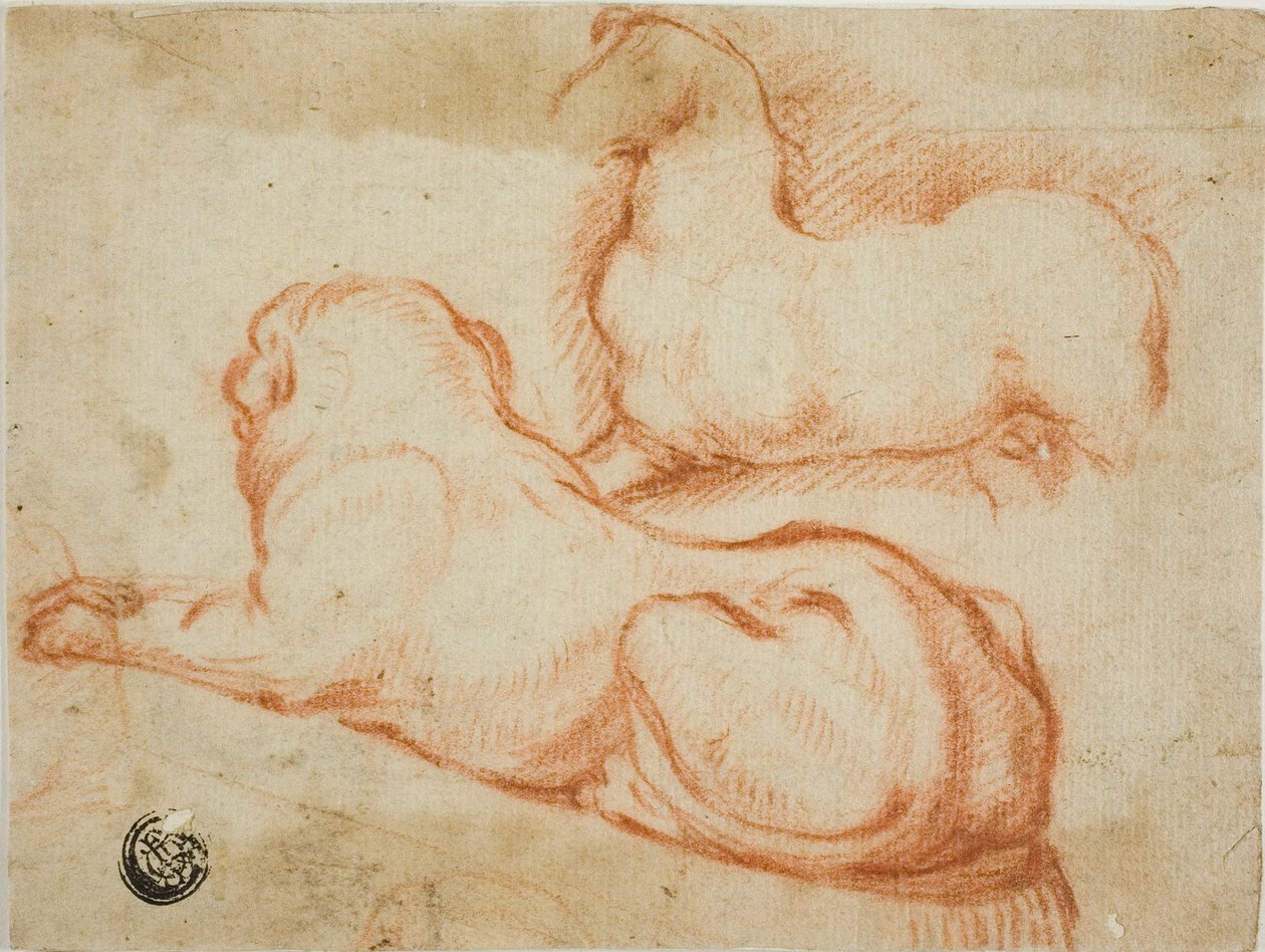 رسم الحصان والكلب بواسطة ديرك فالكنبورج