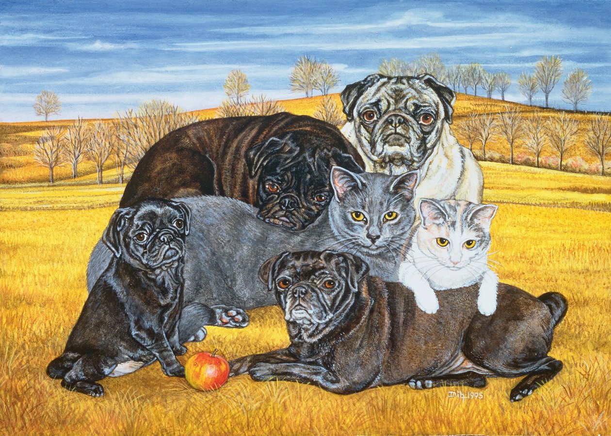 Hocking County Pug-Cats ، 1995 بواسطة ديتز