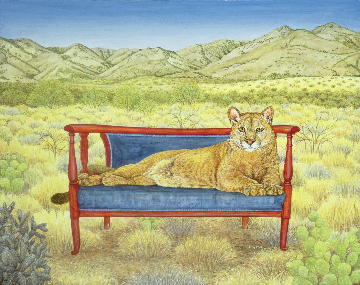 Millers Mountain-Lion بواسطة ديتز
