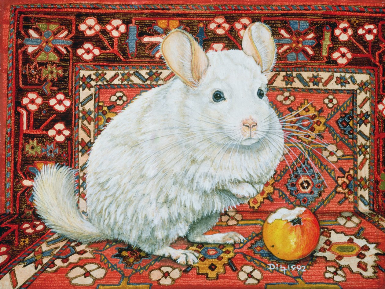 The Carpet-Chinchilla ، 1992 بواسطة ديتز