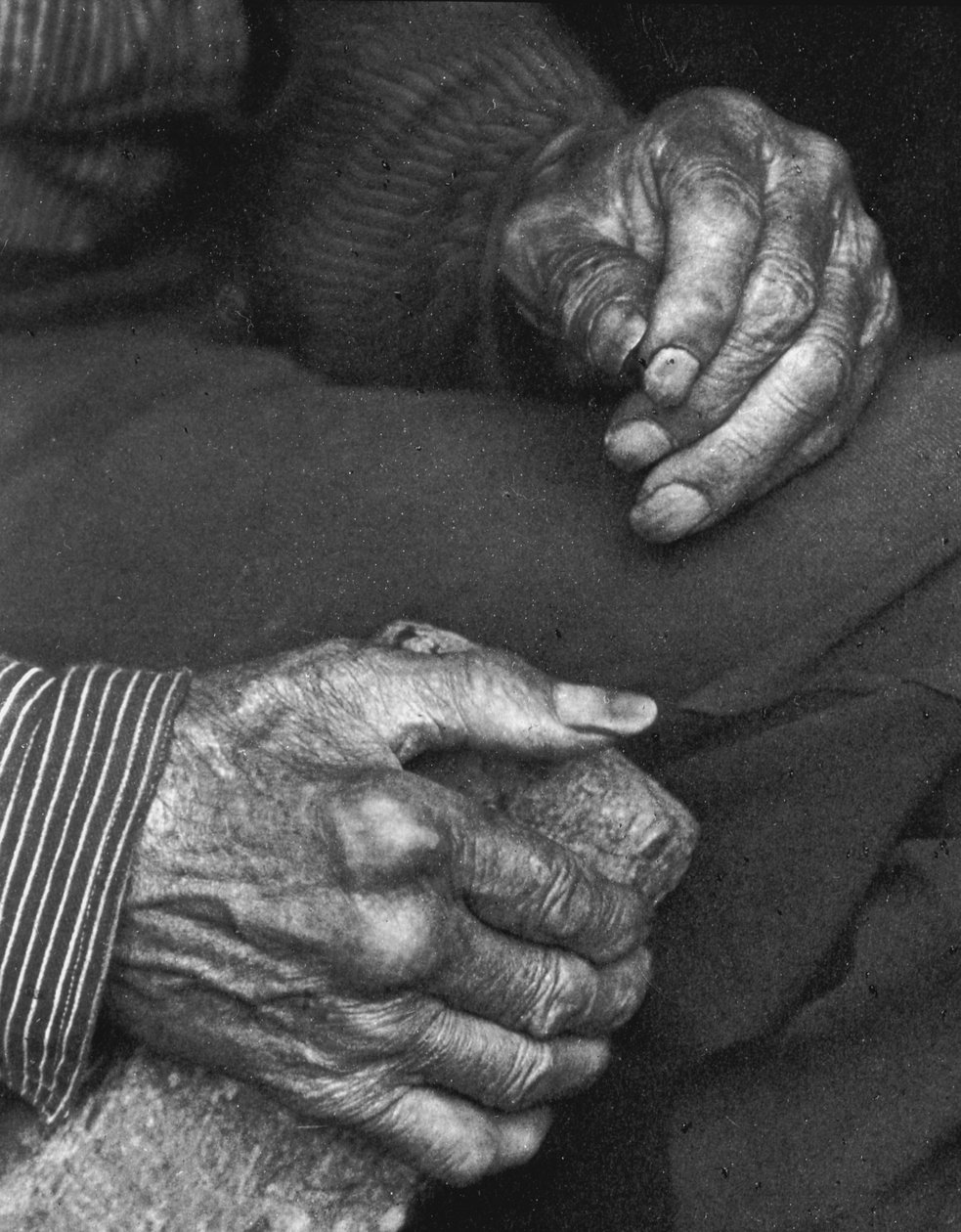 يد العامل ، 1925 بواسطة دوريس أولمان