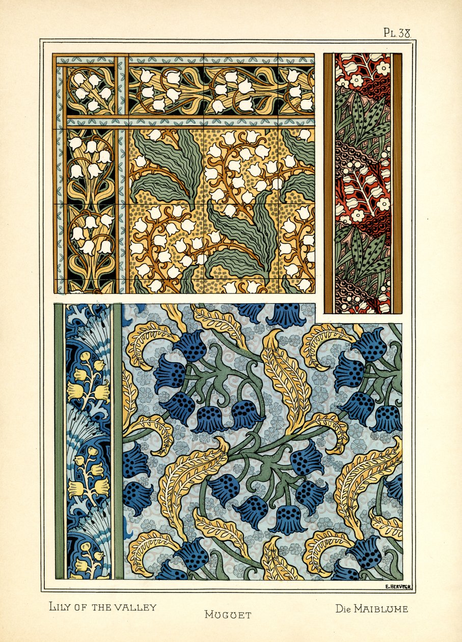 زنبق الوادي بواسطة E. Hervegh