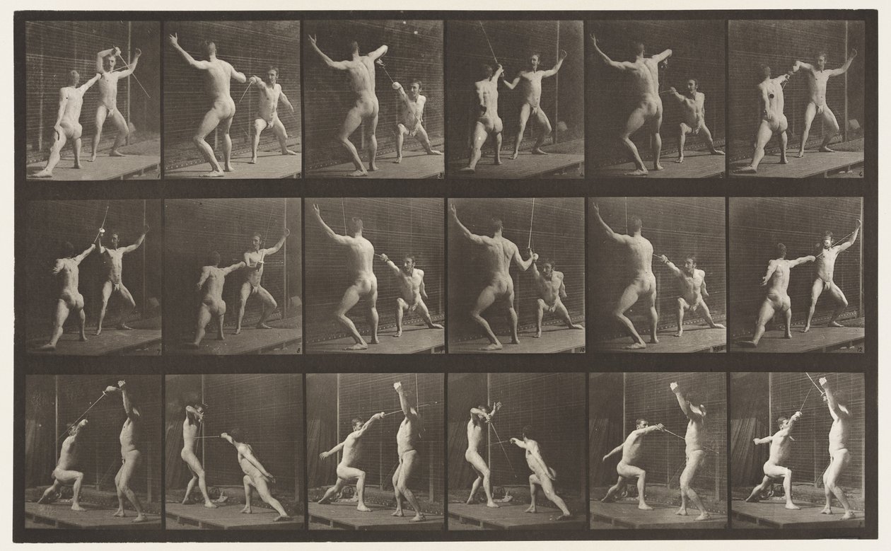 Plate 350. Fencing بواسطة ايدويرد مويبريدج