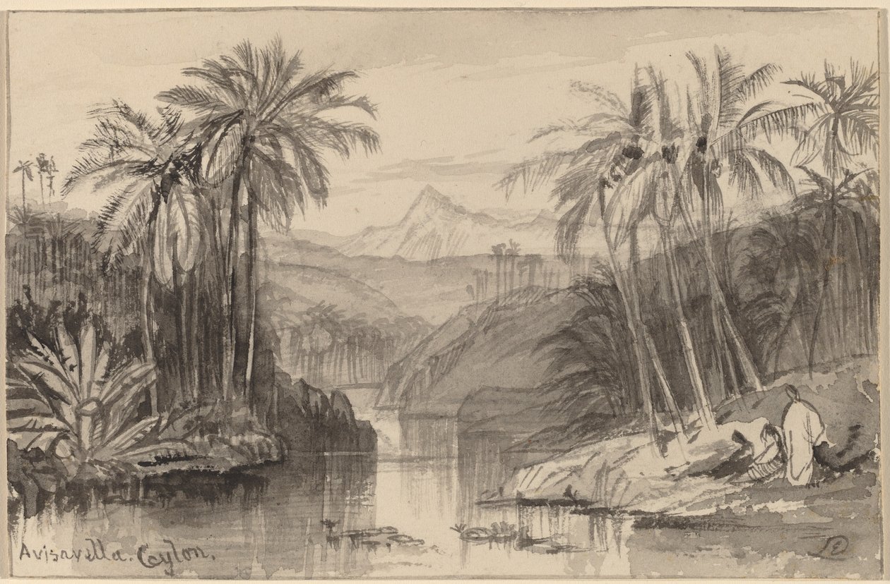 أفيسافيلا ، سيلان ، 18841885. بواسطة إدوارد لير