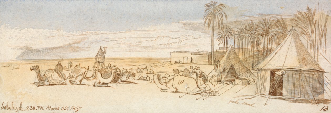  بواسطة إدوارد لير