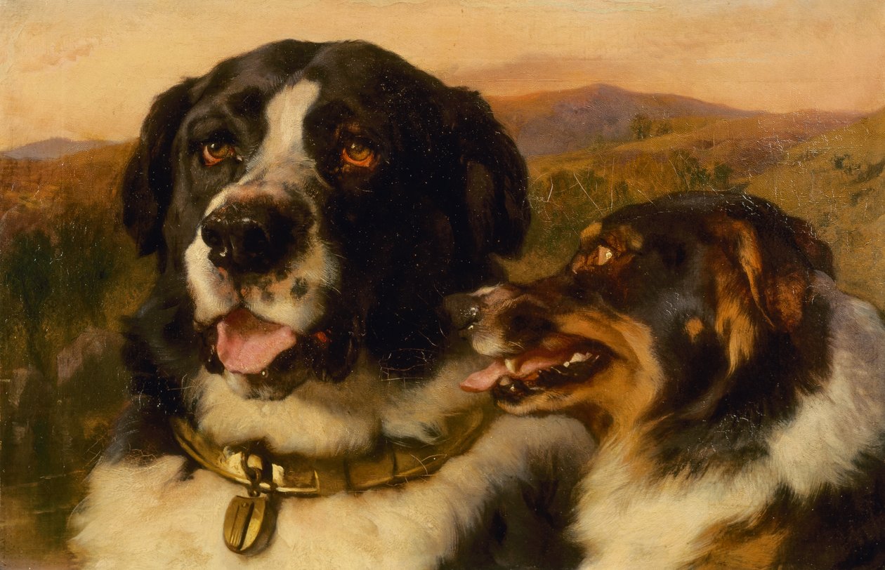 The Twa Dogs (زيت على قماش) بواسطة إدوين لاندسير