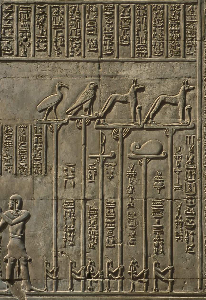 تفاصيل حجر الإغاثة بواسطة مصري