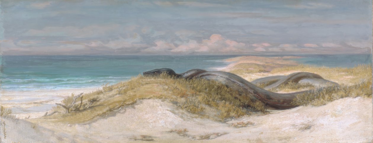 كهف Sea Serpent