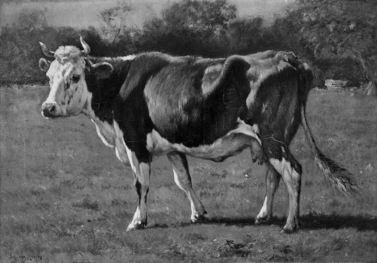  بواسطة Emile van Marcke de Lummen