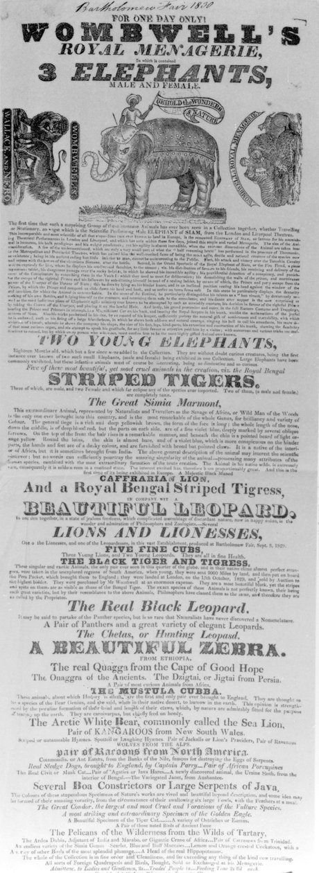 ملصق لمظهر Wombwell&39;s Royal Menagerie في معرض Bartholomew ، 1830 (ورق مطبوع) بواسطة مدرسة اللغة الإنجليزية