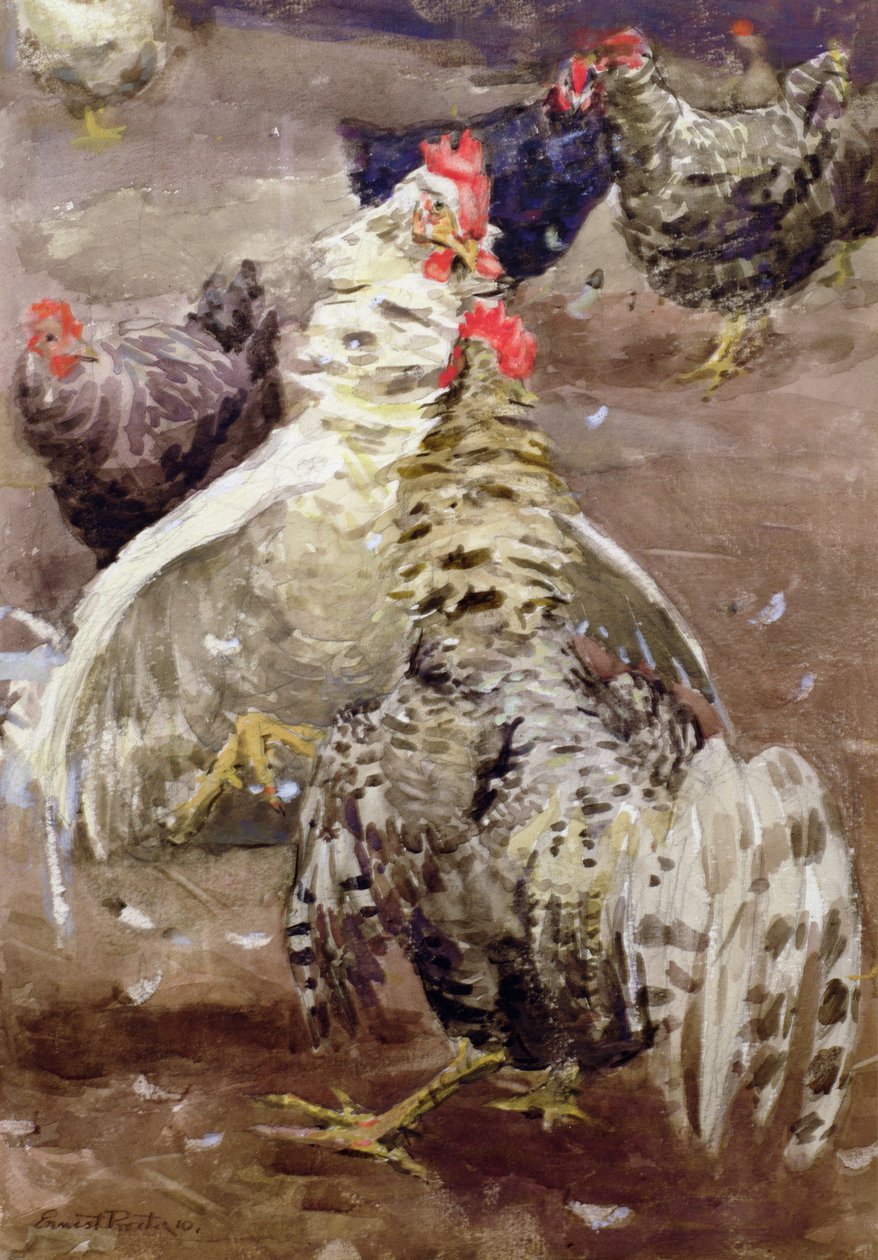 الديكة ، 1910 (مرحاض على الورق) بواسطة إرنست بروكتر