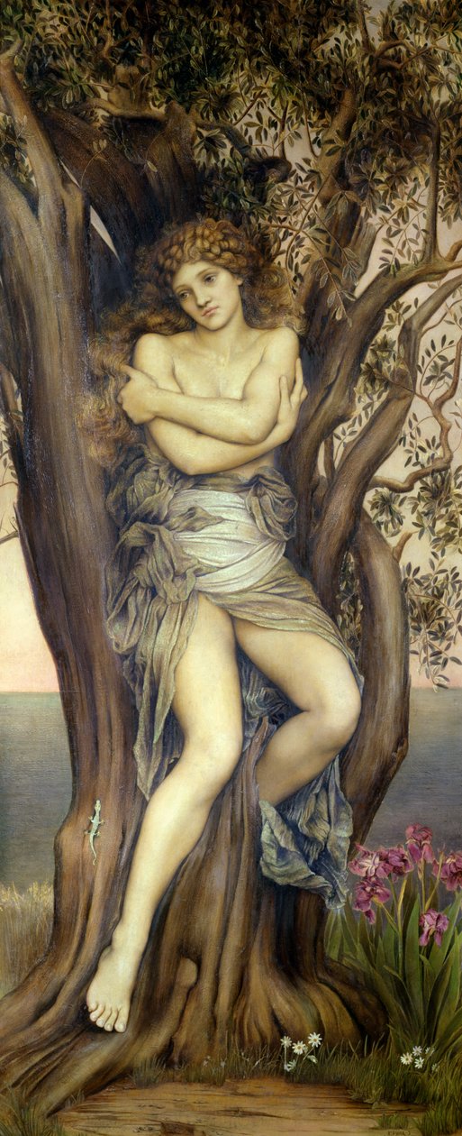 The Dryad ، 1884-85 بواسطة إيفلين دي مورغان