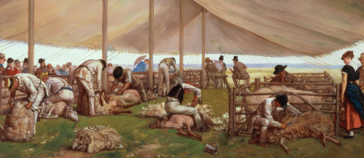 مباراة قص الأغنام ، 1875 بواسطة آير كرو