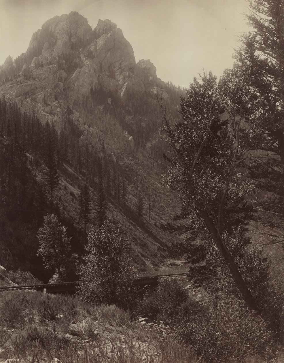 بدون عنوان ، ج. 1884. بواسطة F. جاي هاينز