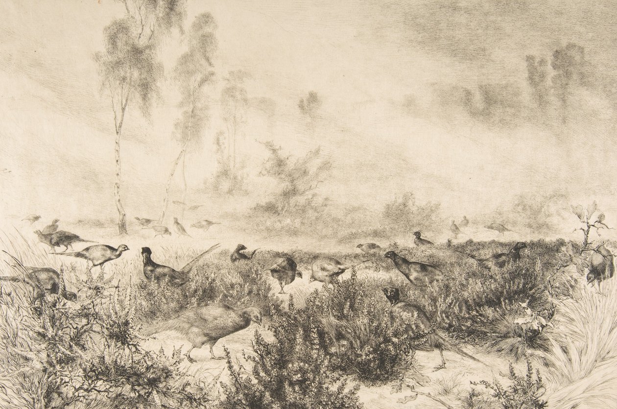 ضباب الصباح ، 1882. بواسطة فيليكس براكيموند