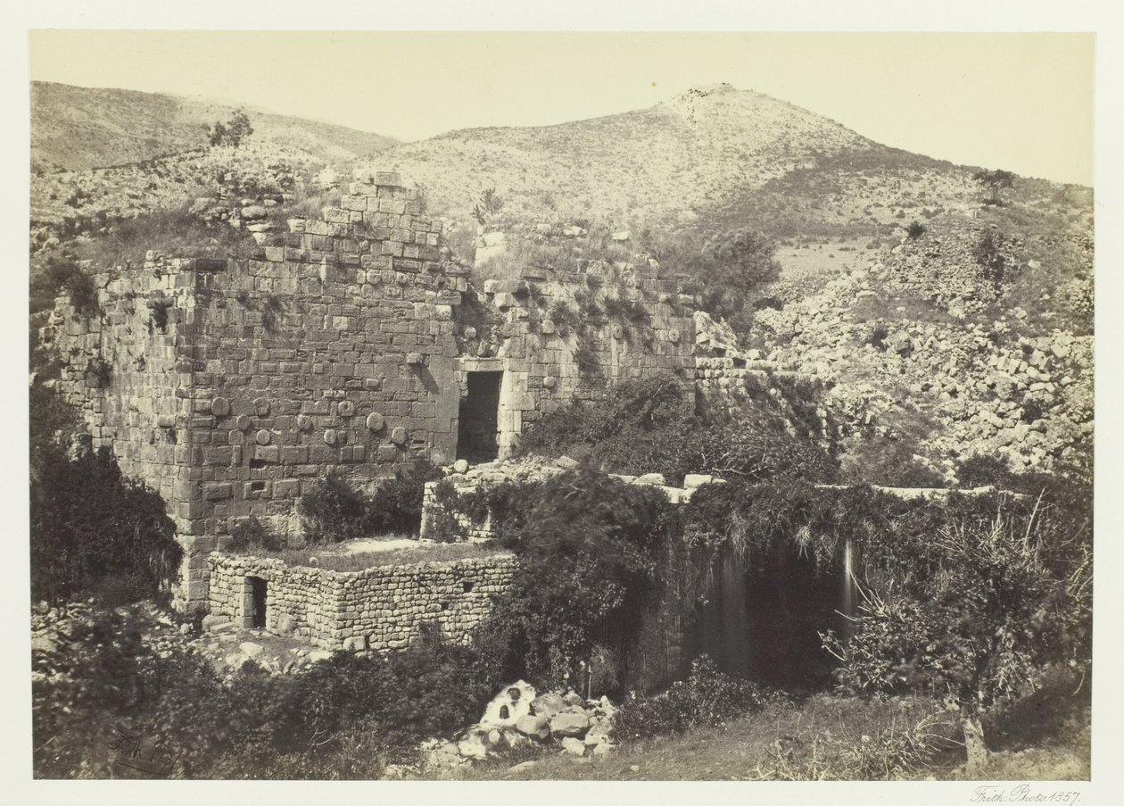  بواسطة فرانسيس فريث