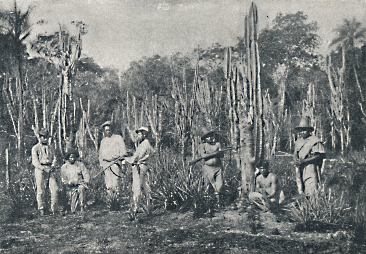 الحقول ، 1895 بواسطة فرانسيسكو هينزلر
