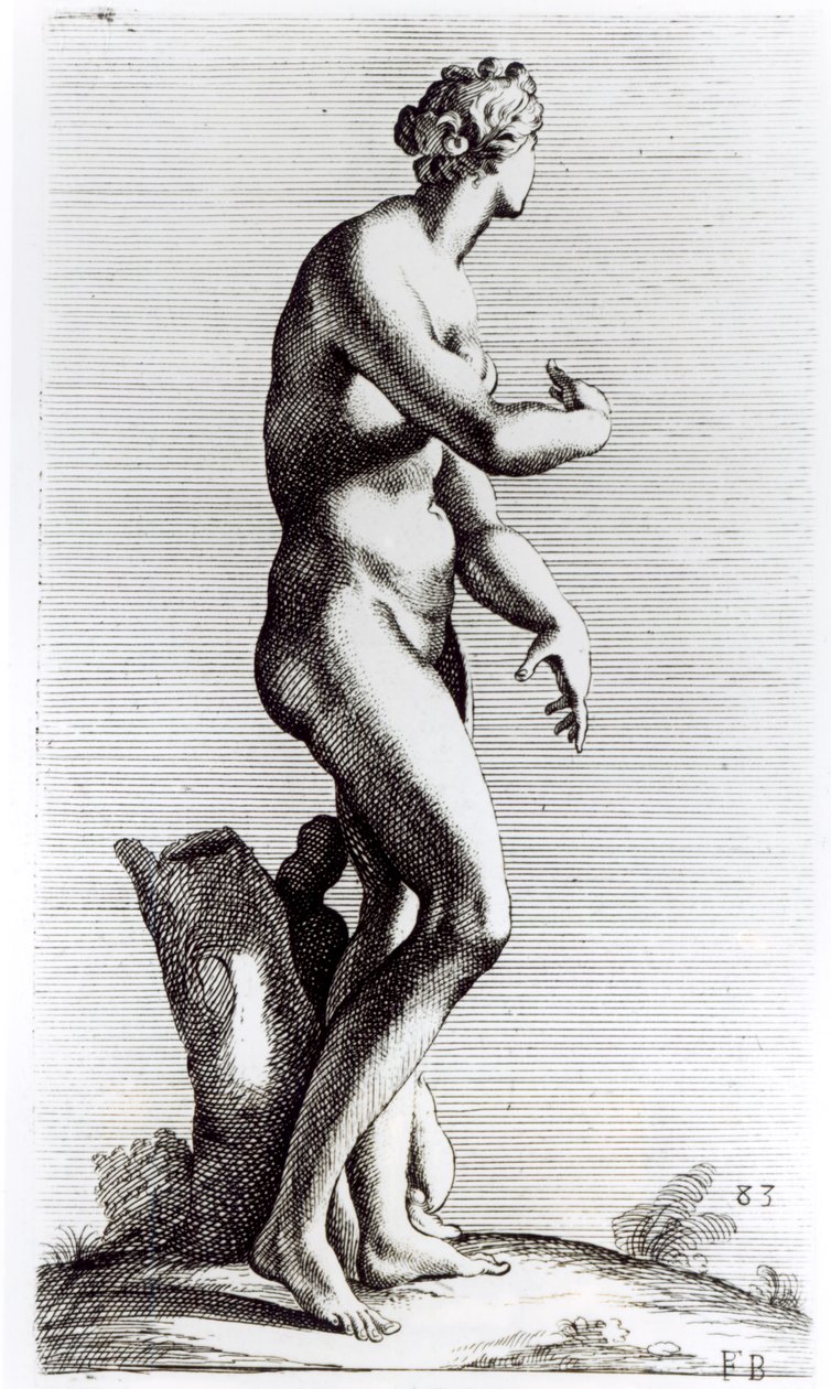 فينوس أفروديت ، c.1653 بواسطة فرانسوا بيرييه