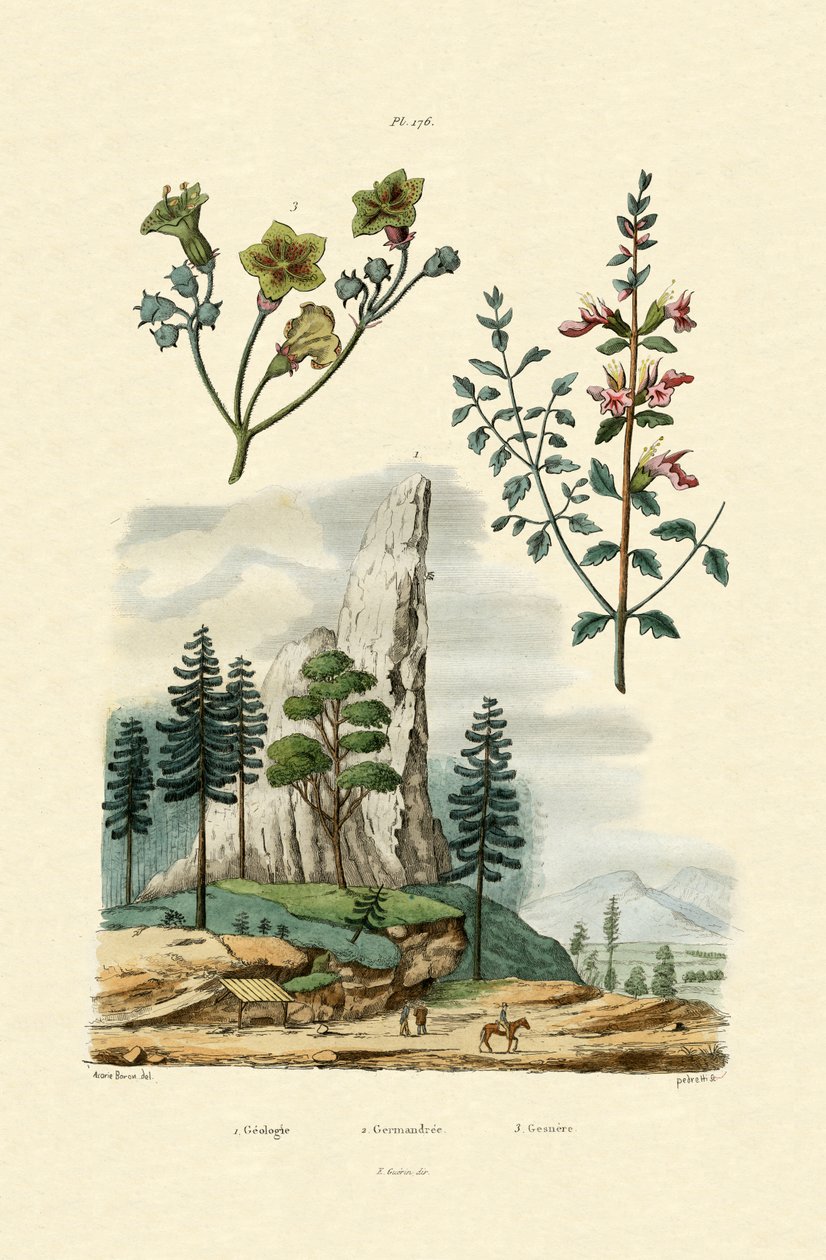 الجيولوجيا ، 1833-1839 بواسطة المدرسة الفرنسية