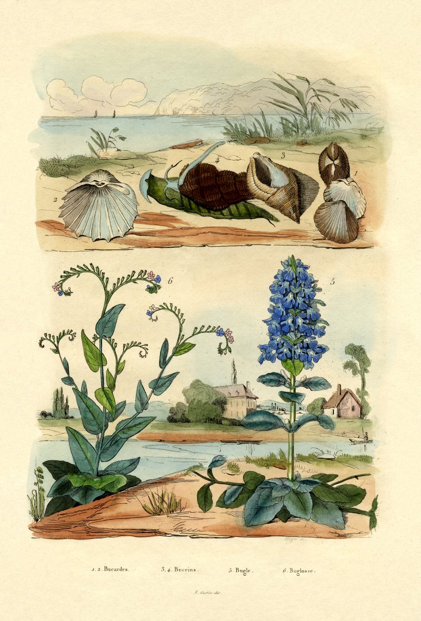 قذائف ، 1833-1839 بواسطة المدرسة الفرنسية