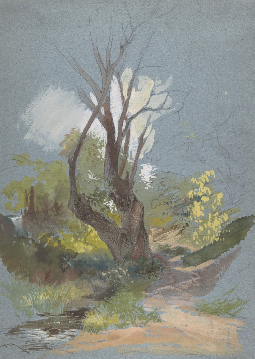 مسار جبلي مع شجرة ، 1820-1878. بواسطة فريدريك نيرلي