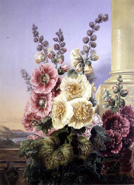 Hollyhocks (لون ليثو) بواسطة جورج باكستر