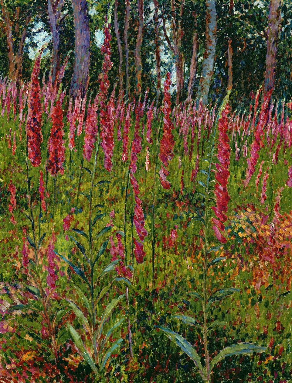 Foxgloves ، ج .1916 بواسطة جورج لاكومب