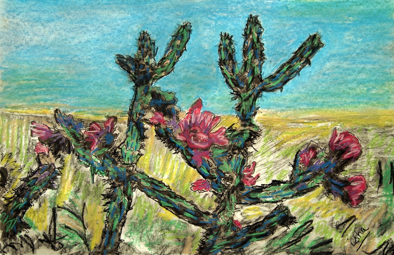  بواسطة غيرهاردت إسرينجهاوس