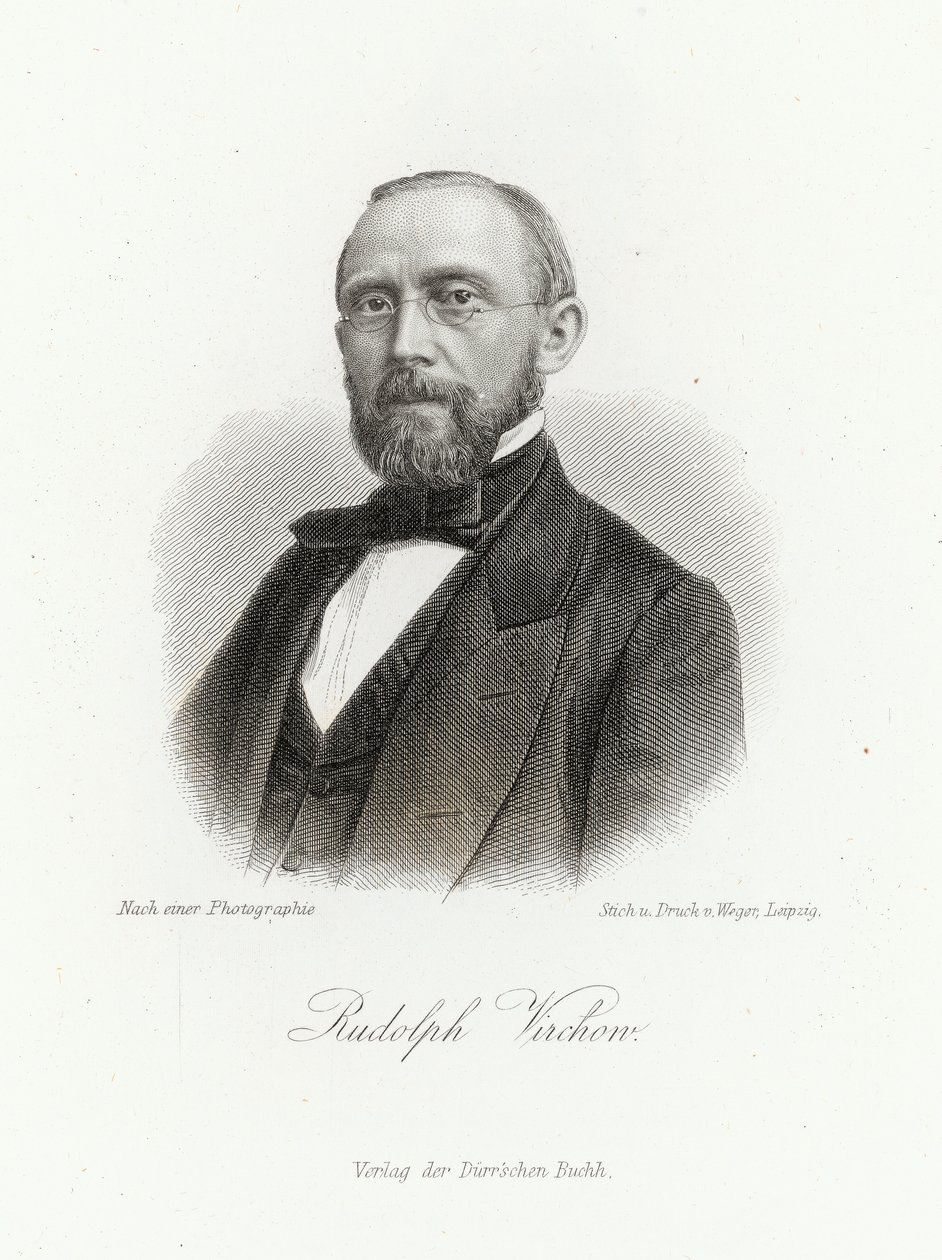 رودولف فيرتشو (1821-1902) في فيلم "Allgemeine Moden-Zeitung" ، لايبزيغ ، 1872 بواسطة المدرسة الألمانية