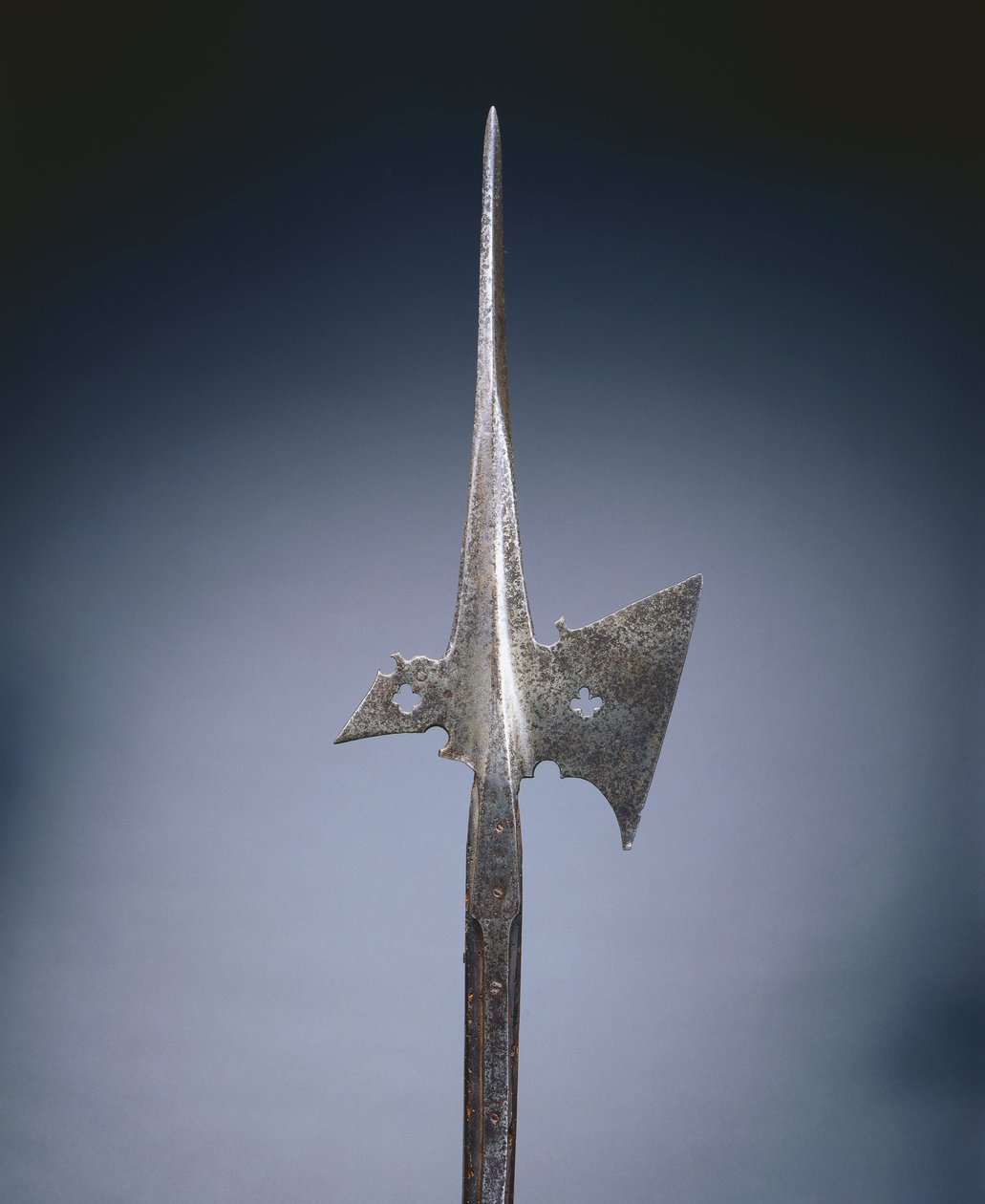 هالبرد ، c.1500-25 بواسطة المدرسة الألمانية