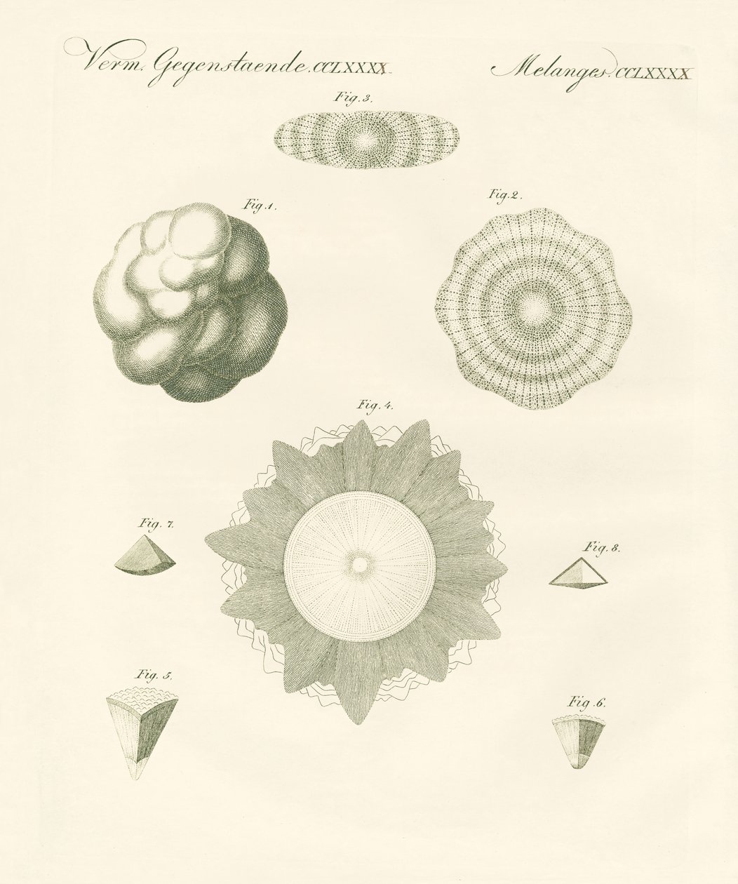 Strange hailstones (coloured engraving) بواسطة المدرسة الألمانية