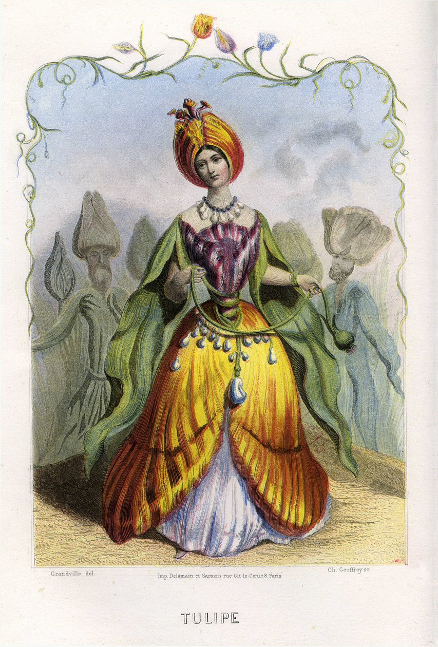  بواسطة غراندفيل (1803 47)