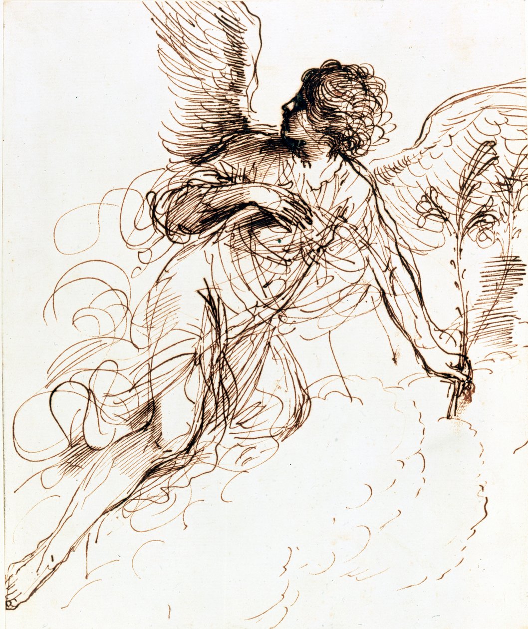 دراسة ملاك ، c1611-1666 بواسطة جويرسينو