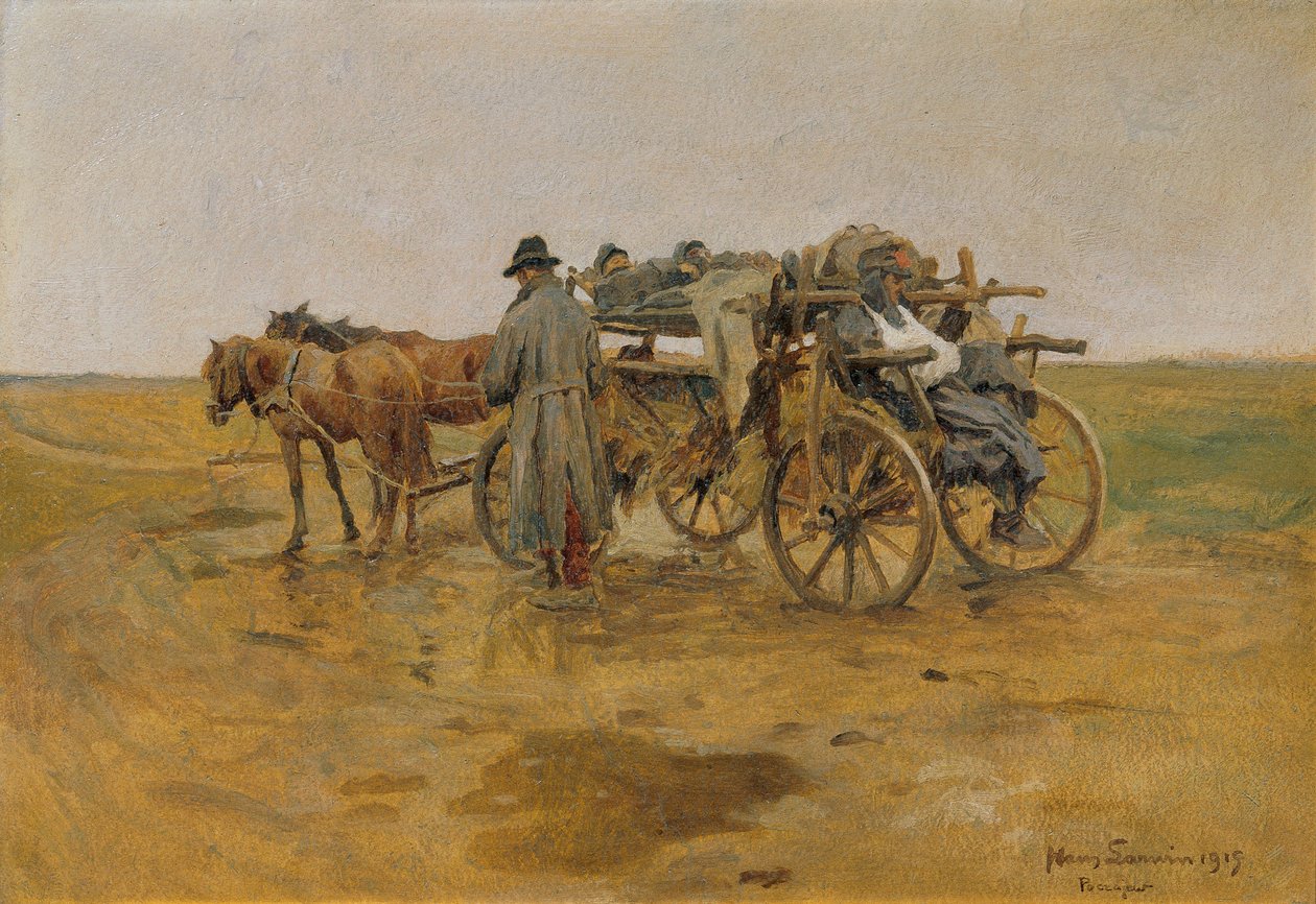 نقل الجرحى بواسطة هانز لارفين