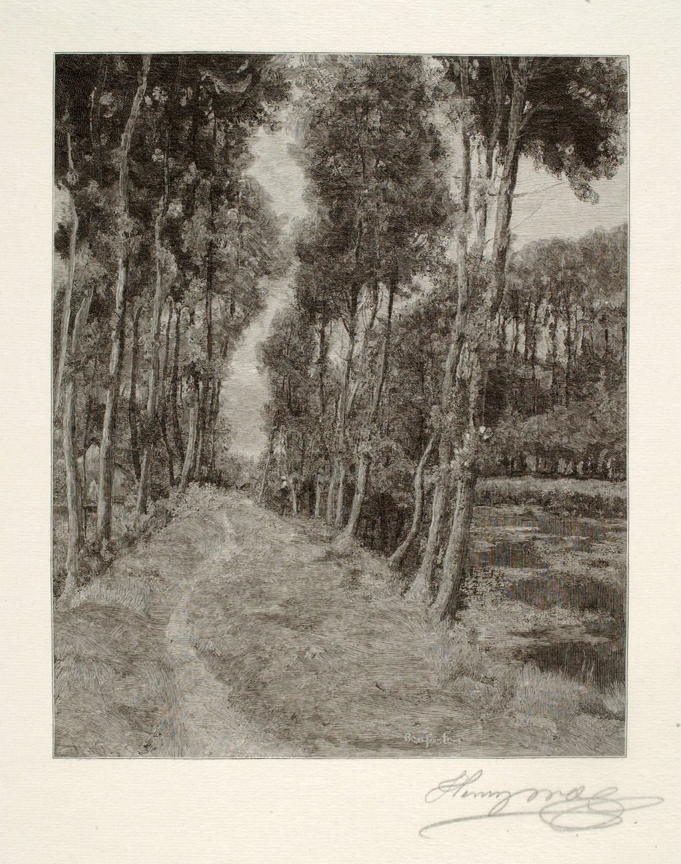  بواسطة هنري وولف