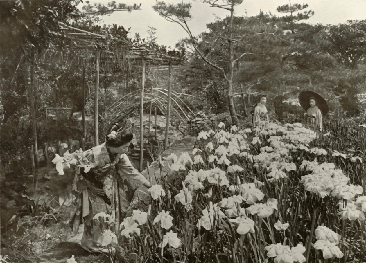 في حديقة القزحية ، 1910. بواسطة هربرت بونتينج
