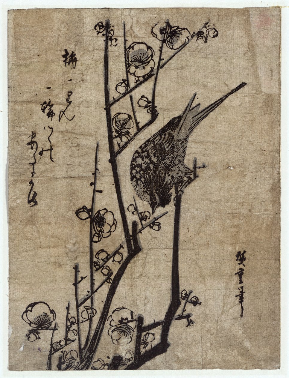 Ume ni Uguisu (Plum Blossom and Bush Warbler) بواسطة Utagawa Hiroshige