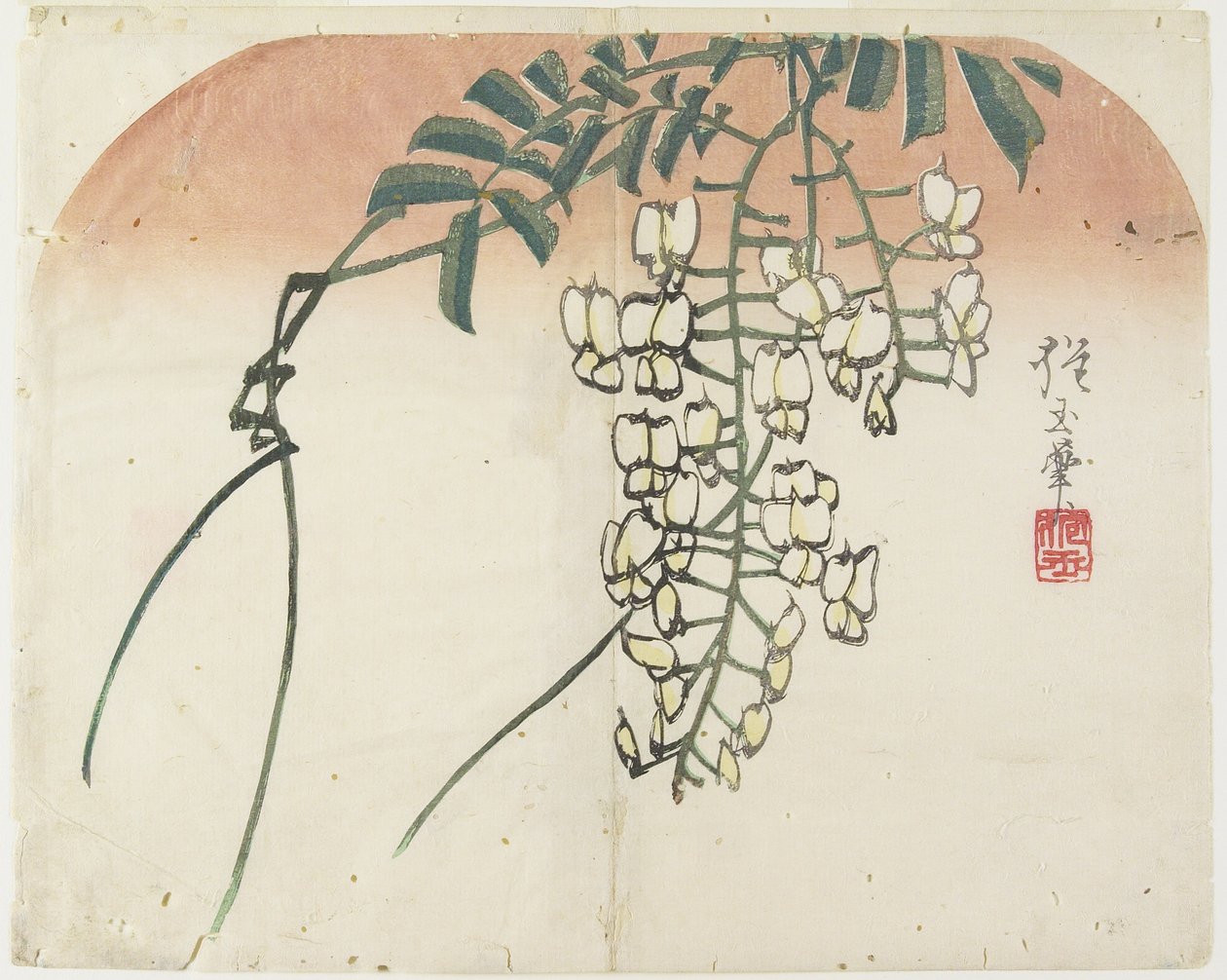 (الوستارية البيضاء) ، ج. 1830 بواسطة Hogyoku