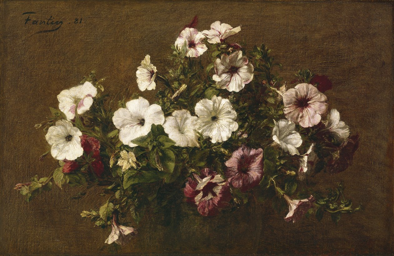 زهور البتونيا 1881 بواسطة Ignace Henri Jean Fantin Latour