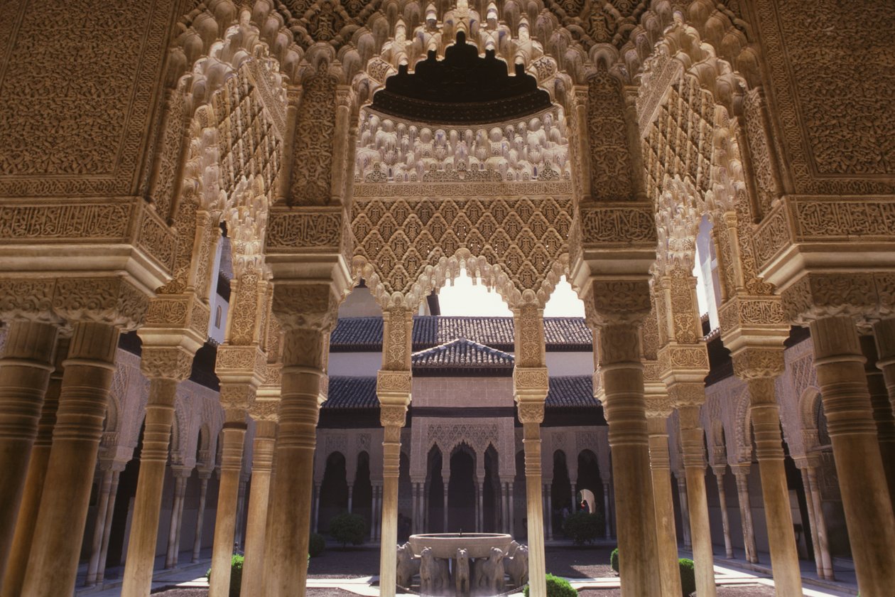 محكمة الأسود بواسطة مدرسة إسلامية